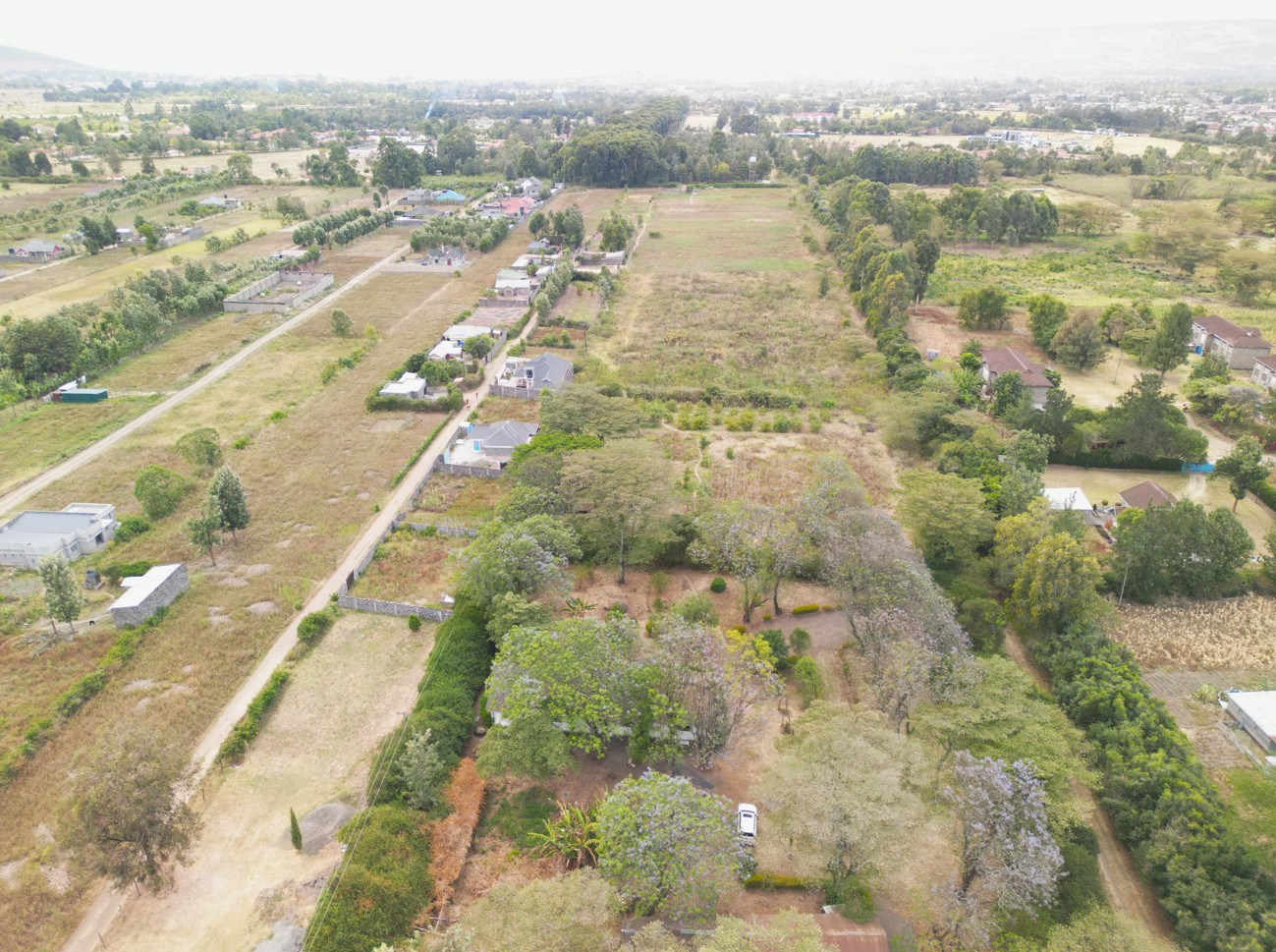 Lanet Farm - Image 1