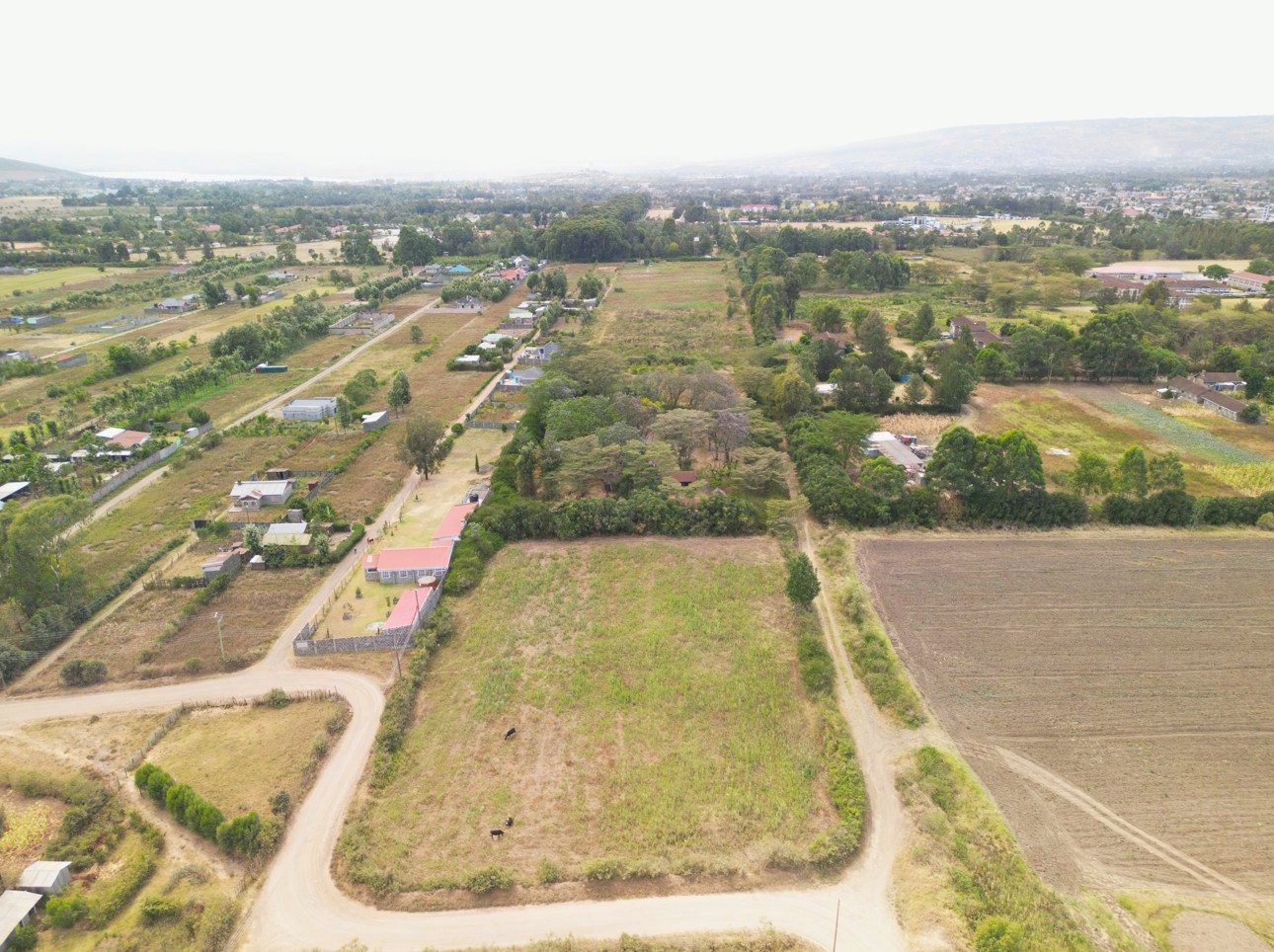 Lanet Farm - Image 5