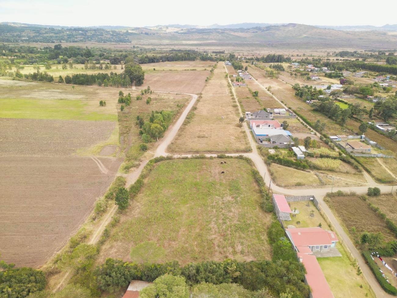 Lanet Farm - Image 2