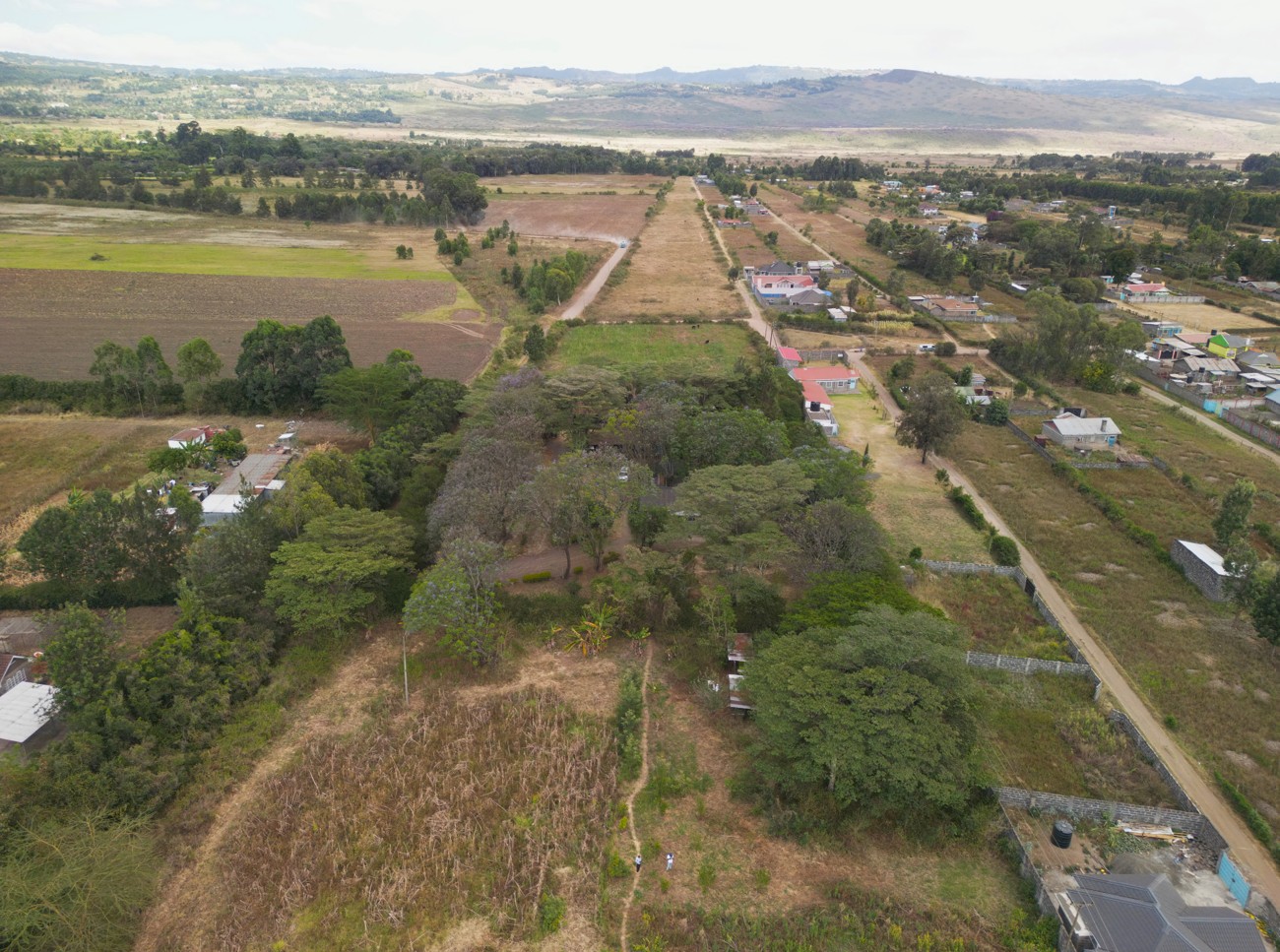 Lanet Farm - Image 6