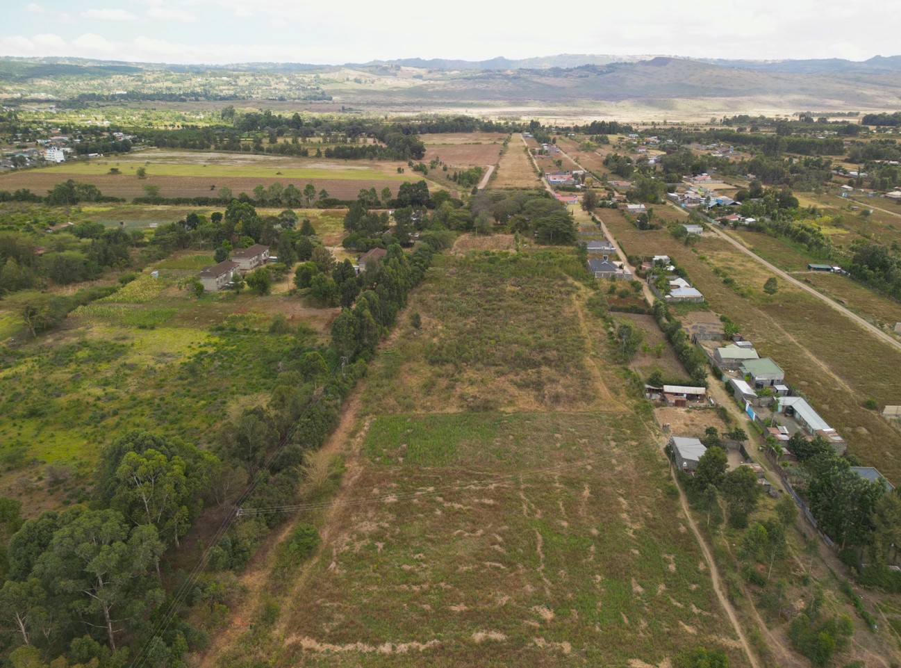 Lanet Farm - Image 3
