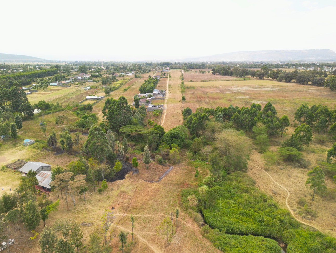 Lanet Farm - Image 4